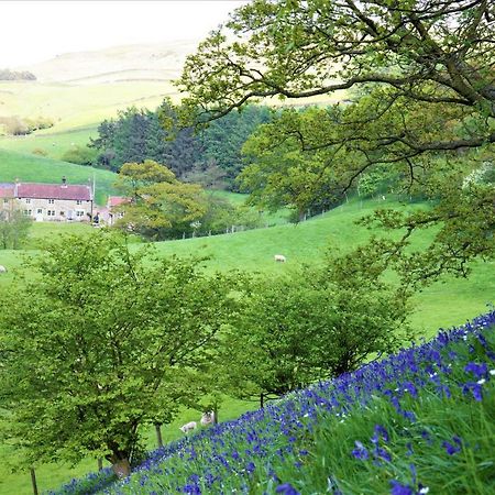 Bluebells Cottage Chop Gate المظهر الخارجي الصورة