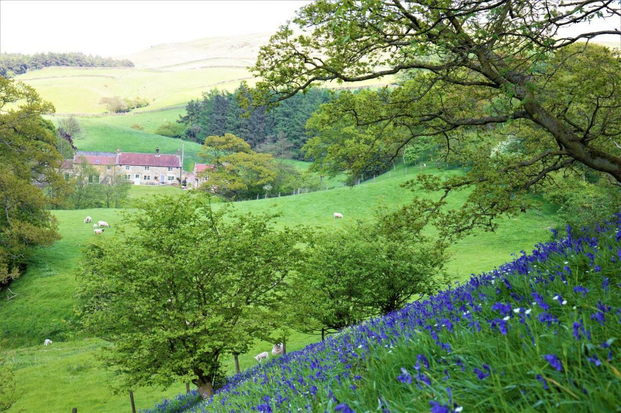Bluebells Cottage Chop Gate المظهر الخارجي الصورة