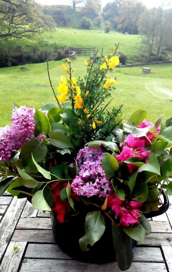 Bluebells Cottage Chop Gate المظهر الخارجي الصورة