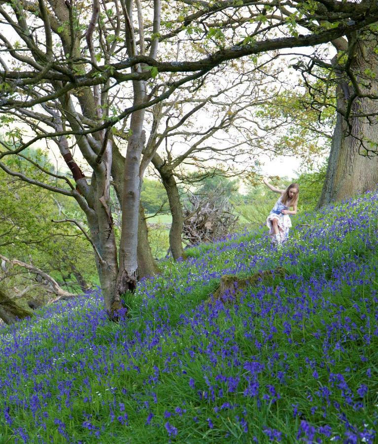 Bluebells Cottage Chop Gate المظهر الخارجي الصورة